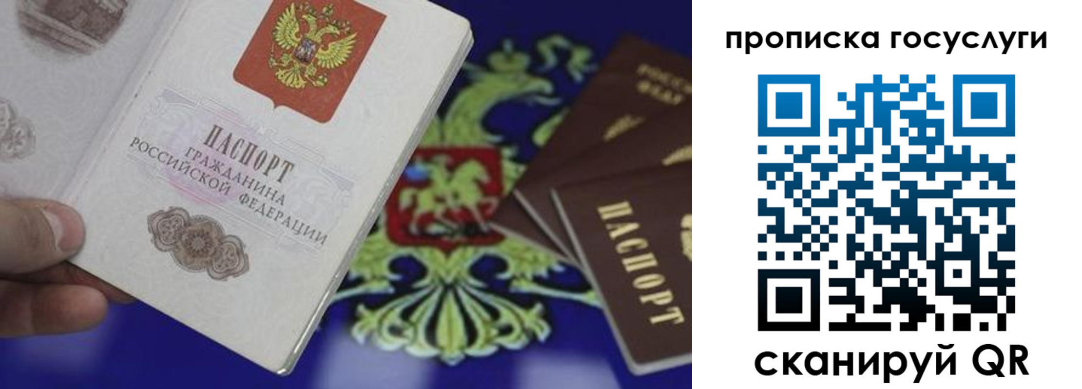 прописка для школы в Порхове